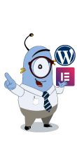 Elementor + WordPress